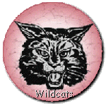 ORHS Wildcats
